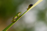 /album/fotka-mesice/dsc-0273-jpg1/